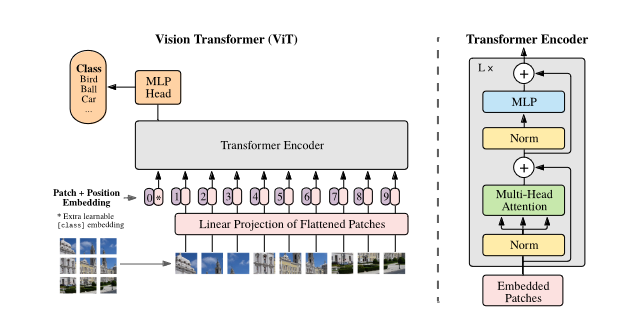 ViT Architecture